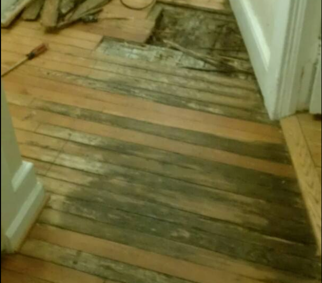 black stained damaged wood floor