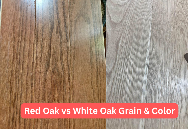 red oak vs white oak grain pattern & color
